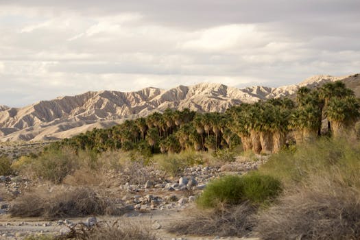 Springs Preserve - a beautiful oasis in the desert