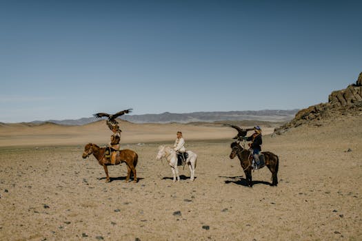 A desert landscape showing native wildlife